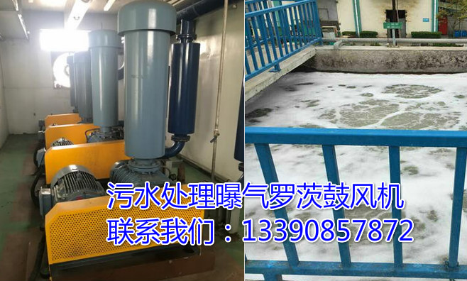 污水处理曝气用罗茨鼓风机的作用